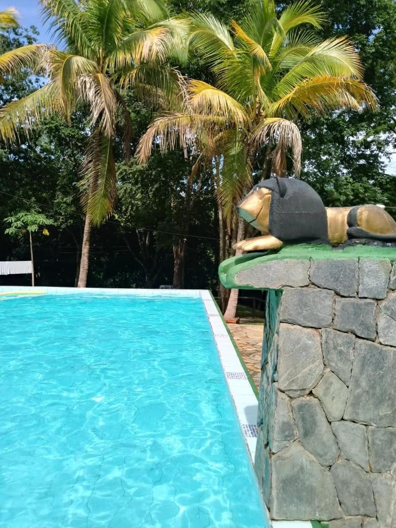 Pousada Vila Cintra Pirenopolis Ngoại thất bức ảnh